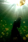 Micro2008-PL-Palau-Jellyfish lake016 DxO RAW